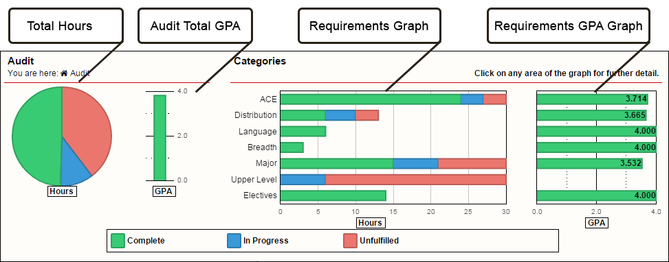Interactive Audit Example