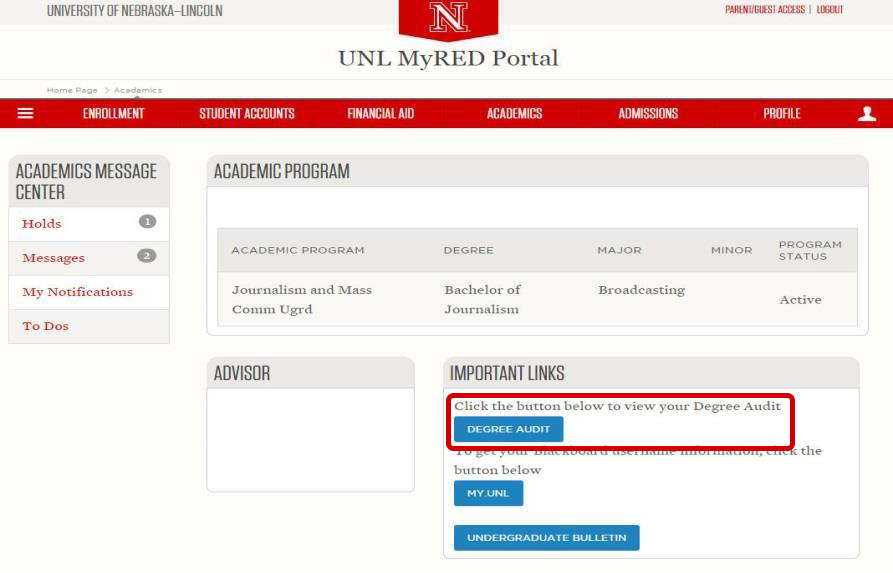 Degree Audit button highlighted under Important Links