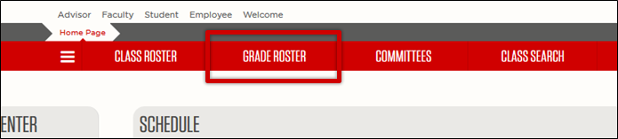 Select the Grade Roster tab