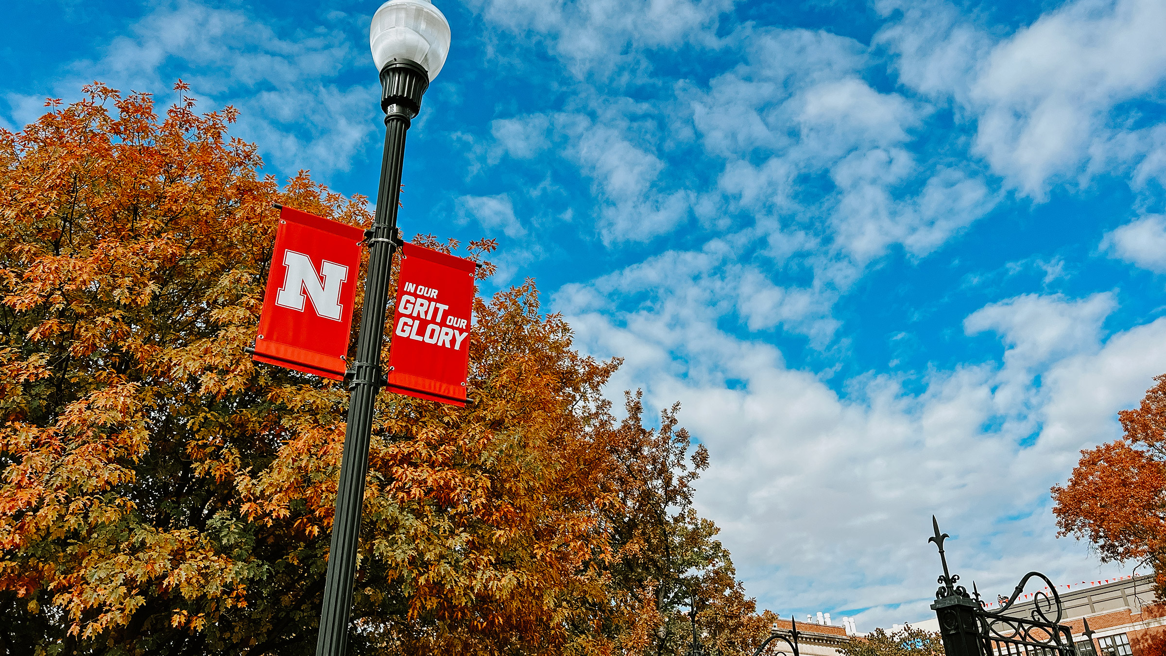 Fall on City Campus and a sign that reads In Our Grit Our Glory