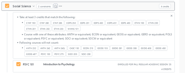 Second image example of degree audit constraints