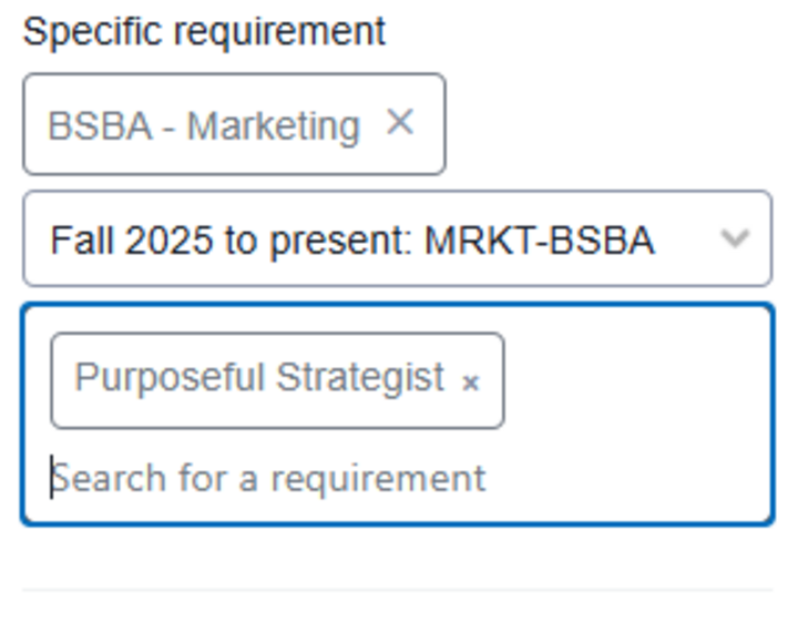 The final filter is shown with BSBA - Marketing for Program, Fall 2025 to present: MRKT-BSBA for audit version, and Purposeful Strategist for requirement.