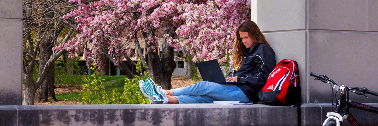 student studying outside with laptop